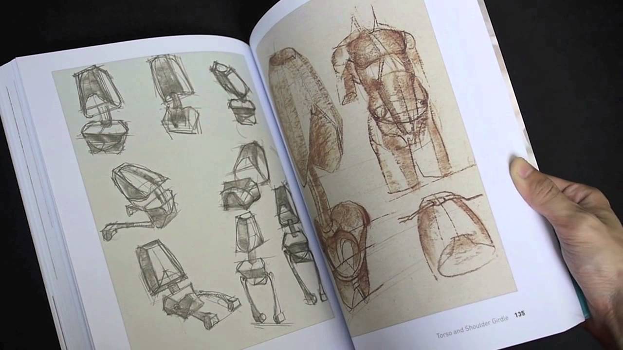 anatomy for the artist jeno barcsay pdf writer